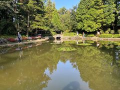 -庐山风景区花径公园