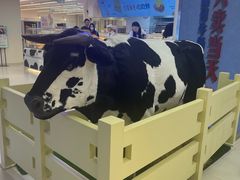 -红星前进面包牛奶公司(君太店)