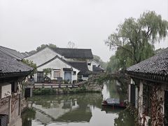 -鲁镇