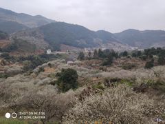 -福建天门山