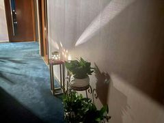 -御境·SPA养生会馆