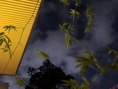 -花间茶(华侨城创意园店)