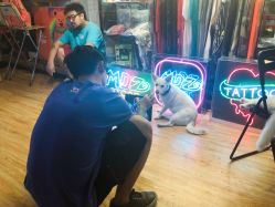 点击看大图 -MDZ STORE·TATTOO·耳饰