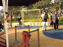 upload_pic-荔湾区儿童公园