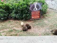 -广州动物园