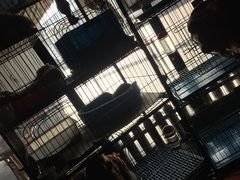 -赢吧Bliss音乐酒吧