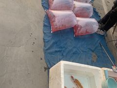 -华声天桥民俗文化园