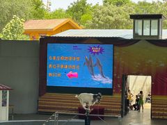 -石家庄市动物园