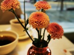 -WOKKA by艮上(中海环宇荟店)