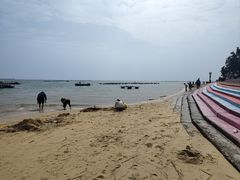 -北海金海湾红树林生态旅游区