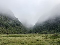 -靖西鹅泉风景区