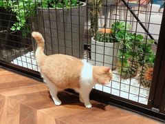-曲阳花鸟市场(曲阳路店)