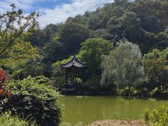 -云溪植物园