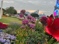 -海心沙亚运公园