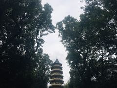 -灵谷景区