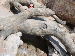 -十渡东湖港风景区