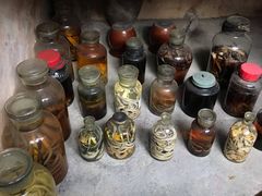 -海南槟榔谷黎苗文化旅游区