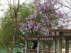 -汉庭优佳(成都一品天下蜀汉路东地铁站店)