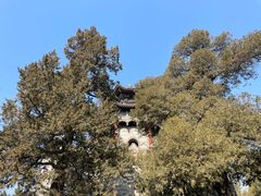 -颐和园