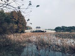 -东湖落雁景区