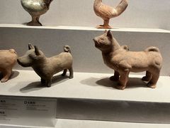 -四川宋瓷博物馆