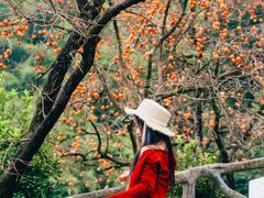 -丹山赤水风景名胜区