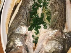 广式海鲈鱼-芳草地度假酒店·野炉中餐厅
