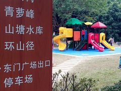 -滴水岩森林公园