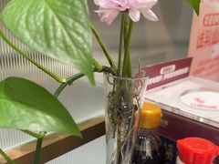 -红鼎豆捞·非遗鲍皇汤火锅(宝丰路店)