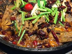 -老板恋上鱼(恒隆广场店)