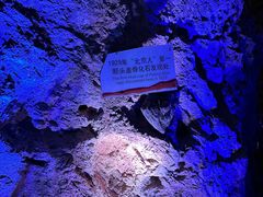 -周口店北京人遗址公园