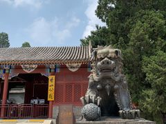 -香山公园