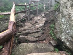 -王顺山国家森林公园