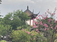 -顺峰山公园