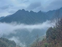 -遂昌金矿国家矿山公园