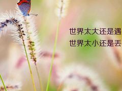 -枫林湾牛扒自助西餐厅(兴东店)