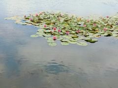 -拈花湾景区-五灯湖