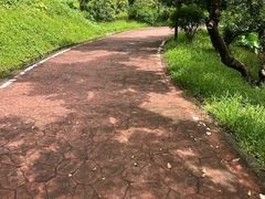 -大屏嶂森林公园