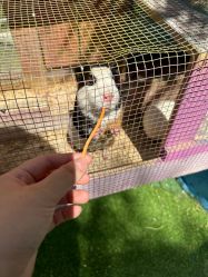 -萌宠亲子动物乐园(槐房万达店)