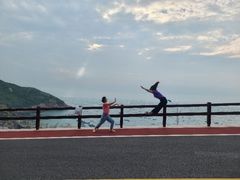-枸杞岛