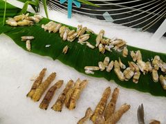 -芭菲盛宴·环球美食(袁家岗店)