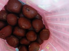 -阿男野栗王(金门路店)