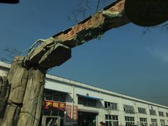 -龙大花卉苗木市场