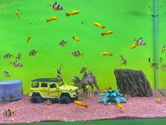 -海合安青岛极地海洋公园