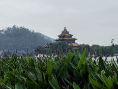 -顺峰山公园
