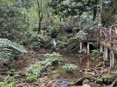 -海南热带雨林国家公园吊罗山景区
