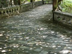 -铁山坪森林公园