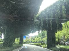 -山明水秀大饭店