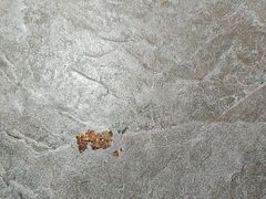 -京狮炙燥·精酿烧烤(首经贸店)