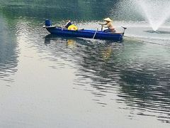 -重庆彩云湖湿地公园